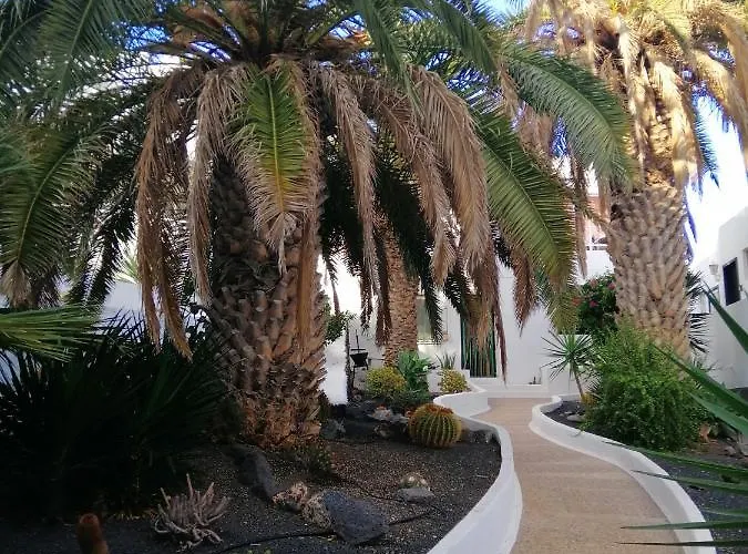 Te Miti Puerto del Carmen