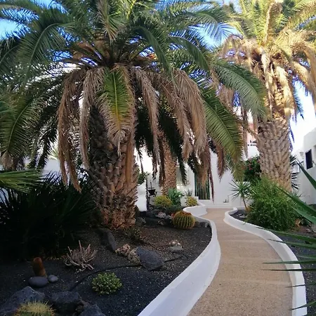Te Miti Puerto del Carmen
